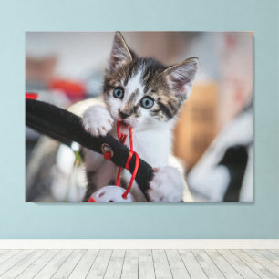 Kitten und Ball Leinwanddruck