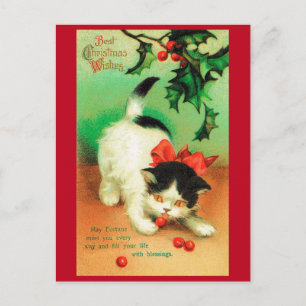 Kitten und Christmas Holly Postkarte