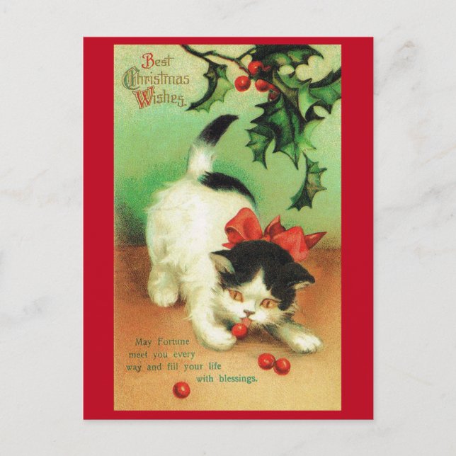 Kitten und Christmas Holly Postkarte (Vorderseite)
