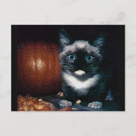 Kitten und Kürbis zu Halloween Postkarte