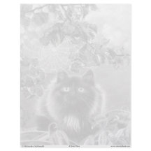 Kitten und Spiderweb Grayscale Farbseiten