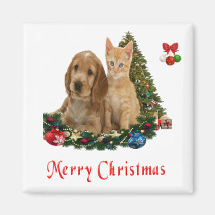 Kitten und Welpen Magnet