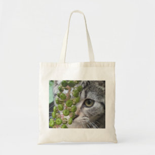 Kitten verbergen tragetasche