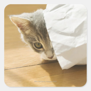 Kitten versteckt sich in Papiertüte Quadratischer Aufkleber