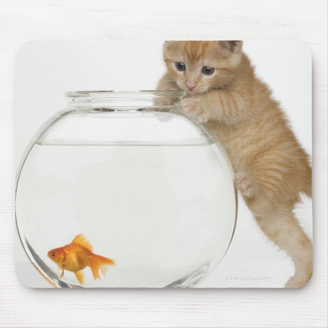 Kitten versucht, einen Goldfisch zu bekommen Mousepad (Vorne)