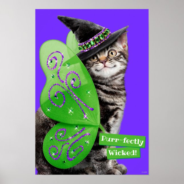 Kitten Witch Fairy Poster (Vorne)