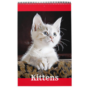KITTENKATZEN - Kalender