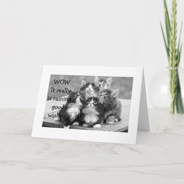 KITTENS ALLE SIND SICH DARÜBER EINIG, DASS UNS AM  KARTE (Vorderseite)