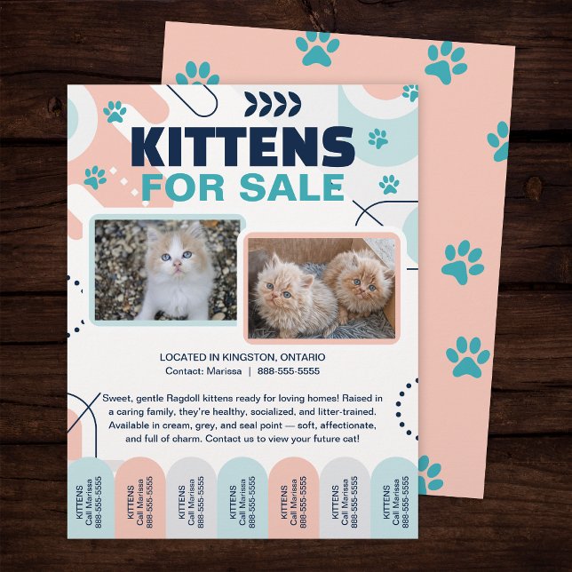 Kittens and Cats For Sale Tear Offs Flyer Template (Von Creator hochgeladen)