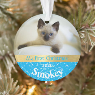 Kitten's First Christmas Foto Ornament