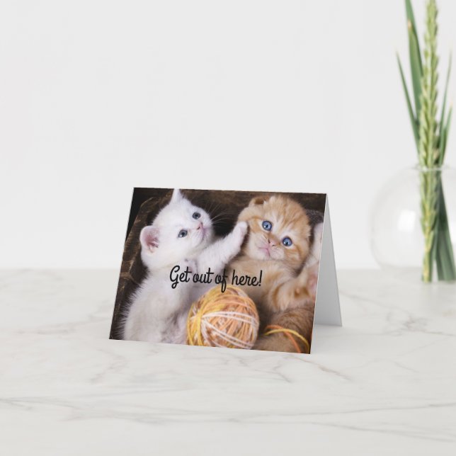 Kittens Happy Birthday Card Karte (Vorderseite)