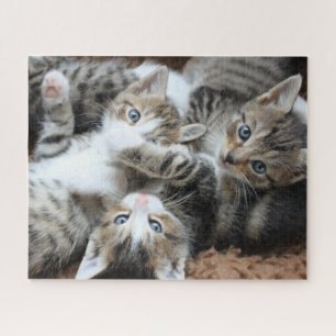 Kittens Jigsaw Puzzle