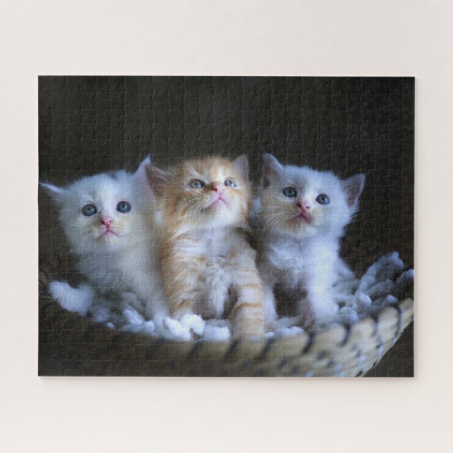 Kittens Jigsaw Puzzle (Horizontal)