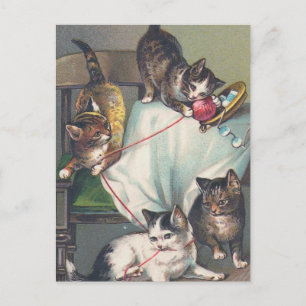 "Kittens Playing with Knitting Wool" Postkarte