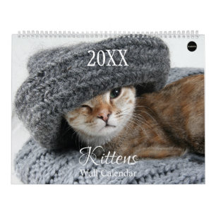 Kittens Wall Calendar - HAMbyWG Kalender