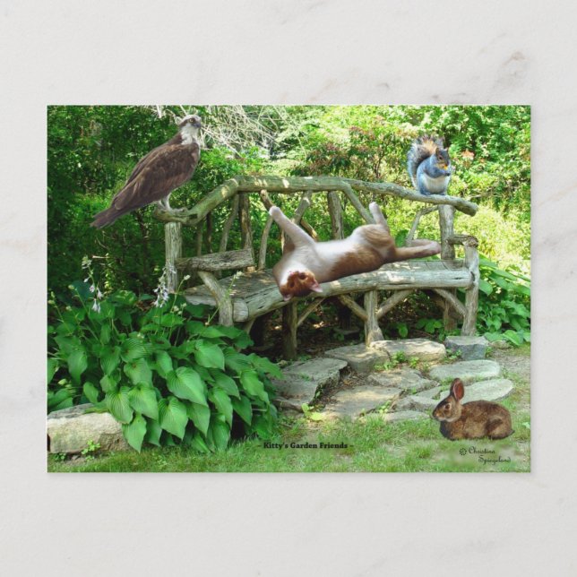 Kittens Wildlife Friends Postcard Postkarte (Vorderseite)