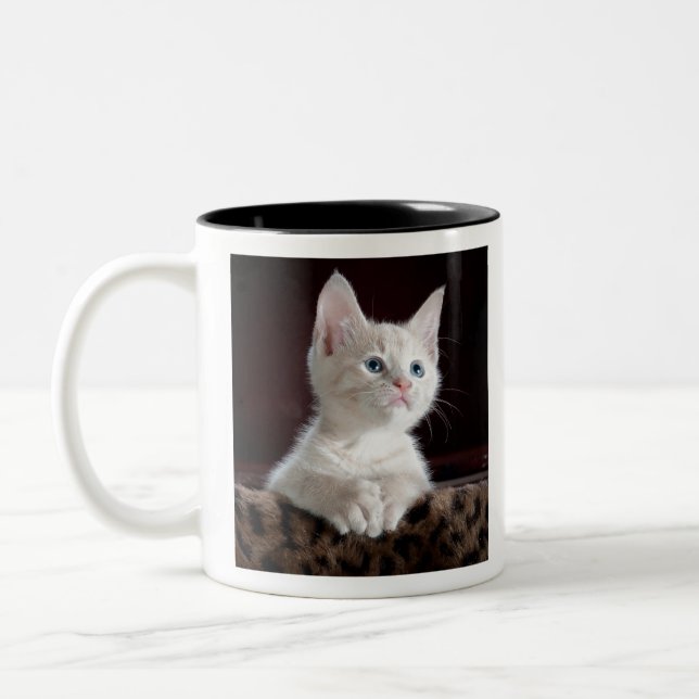 kittens zweifarbige tasse (Links)