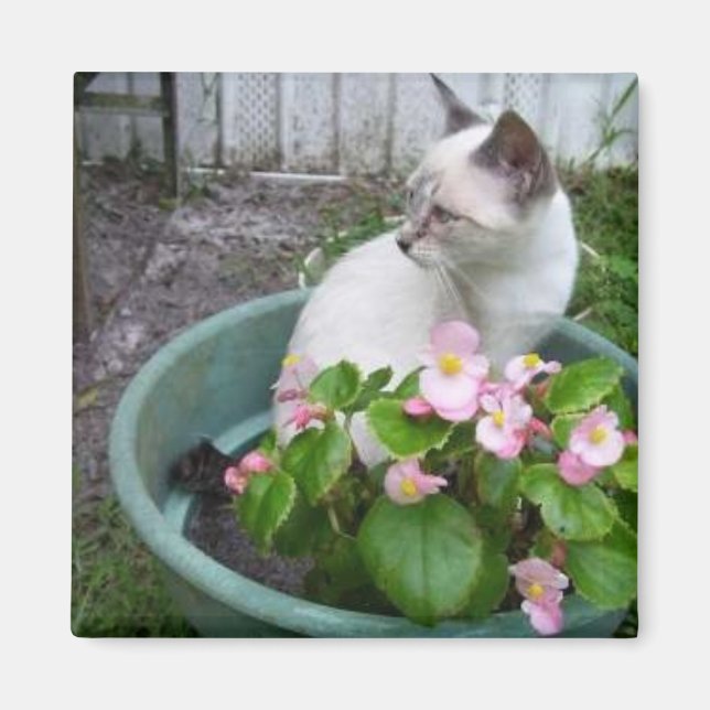 Kittie and Blume Pot Magnet (Vorne)