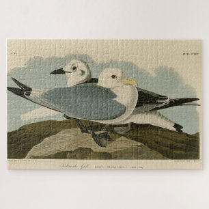 Kittiwake Gull von Audubons Vögeln von Amerika Puzzle
