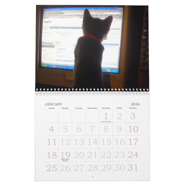 kittty Kalender (Jan 2026)