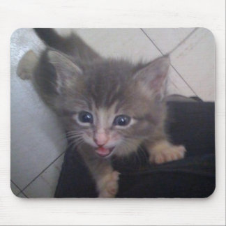 kittty mousepad