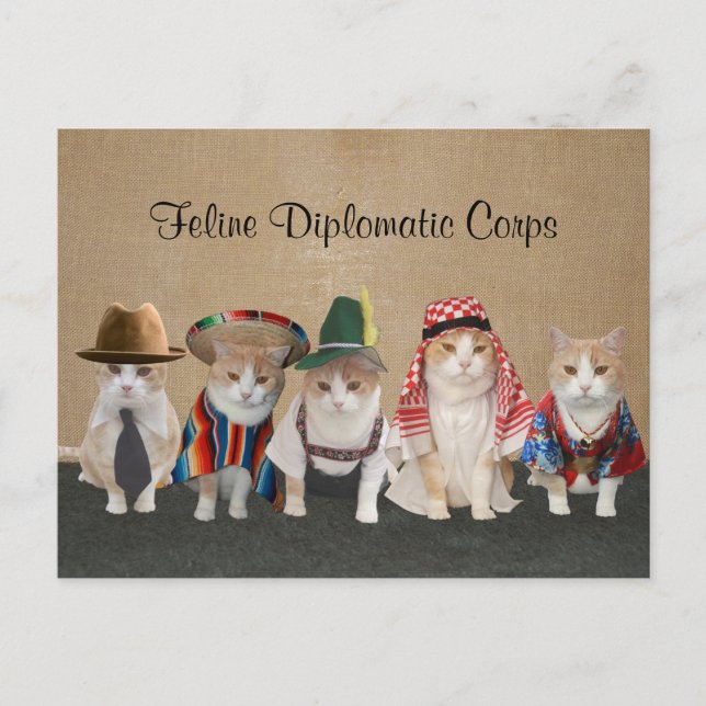 Kitty Ambassadors Postkarte (Vorderseite)