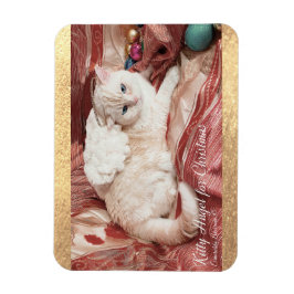 Kitty Angel for Christmas Magnet