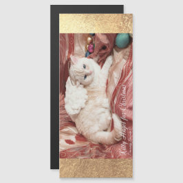 Kitty Angel for Christmas Magnetkarte