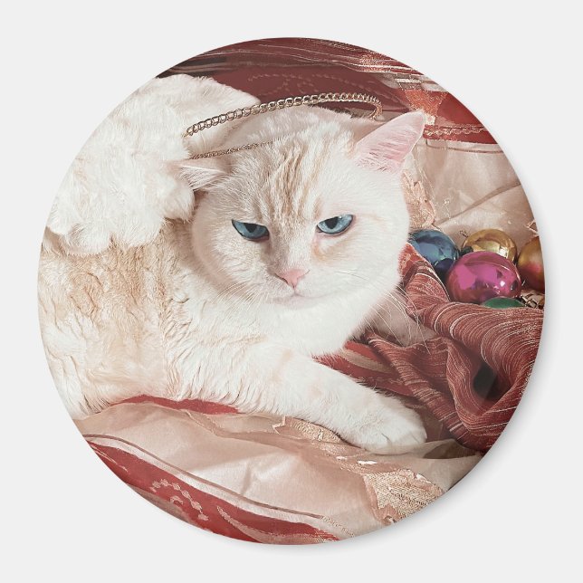 Kitty Angel zu Weihnachten Magnet (Vorne)