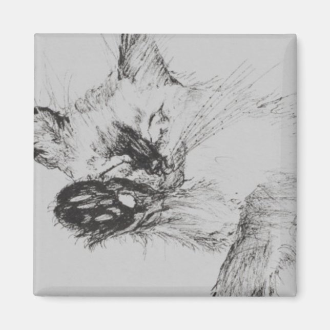 Kitty 'Baby' Magnet (Vorne)