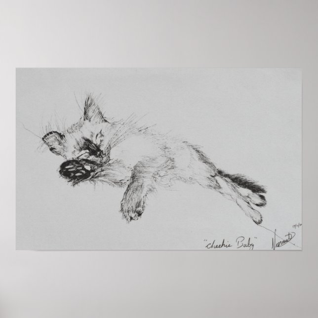 Kitty 'Baby' Poster (Vorne)