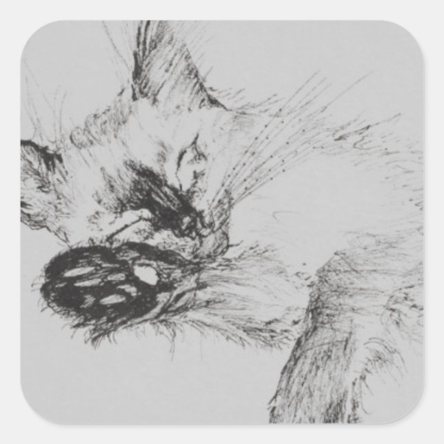 Kitty 'Baby' Quadratischer Aufkleber (Vorderseite)