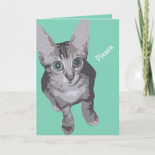 Kitty Big Eyes wird gut Karte