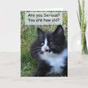 Kitty Birthday Card - Funny!! Karte