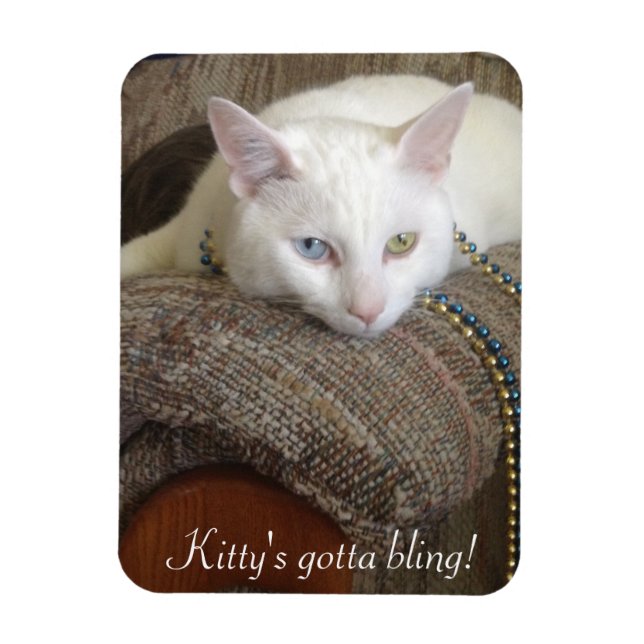 Kitty Bling Foto Magnet (Vertikal)