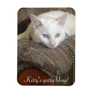 Kitty Bling Foto-Magnet Magnet