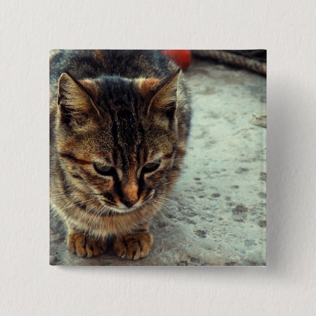 Kitty Button (Vorderseite)