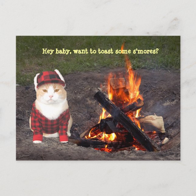 Kitty Campfire Postkarte (Vorderseite)