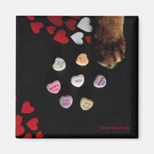 Kitty Candy Hearts Liebe Square Magnet