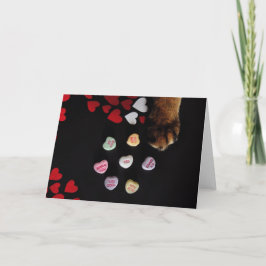 Kitty Candy Hearts Valentine's Day Card Feiertagskarte