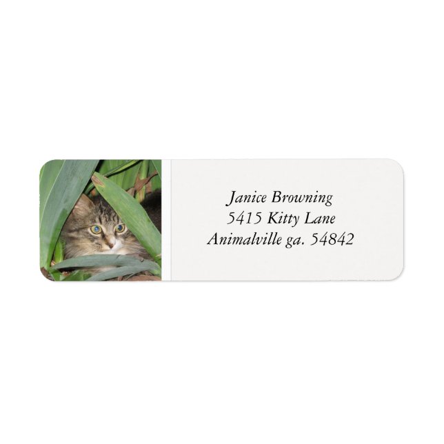 Kitty Cat Address Label (Vorne)