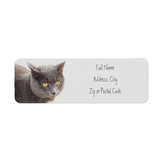 Kitty Cat Animal Address Labels (Vorne)