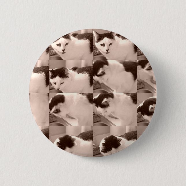 Kitty Cat/Black & White Foto Button (Vorderseite)