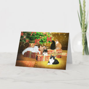 Kitty Cat Christmas Feiertagskarte