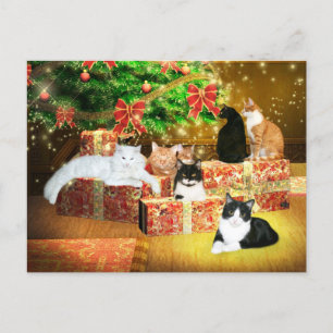 Kitty Cat Christmas Feiertagspostkarte