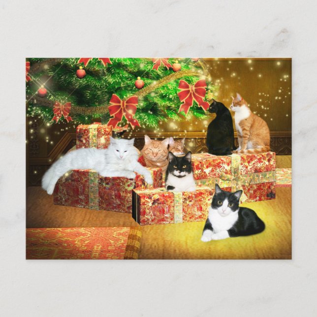 Kitty Cat Christmas Feiertagspostkarte (Vorderseite)