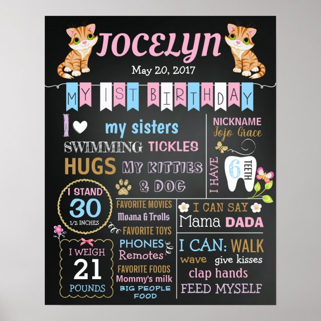 Kitty Cat Erster 1. Geburtstag Party - Tafelschild Poster (Vorne)