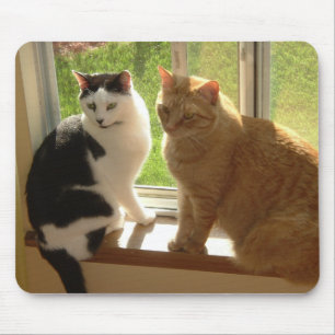 Kitty Cat Liebe Mousepad