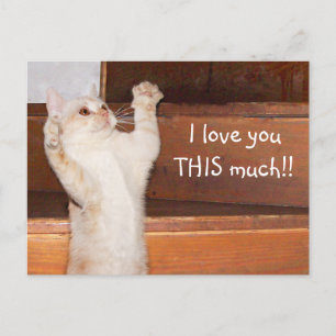 Kitty Cat Liebe Postkarte