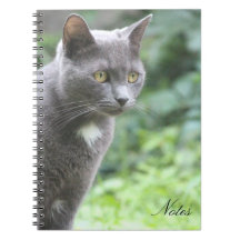 Kitty Cat Notebook